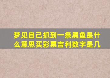 梦见自己抓到一条黑鱼是什么意思买彩票吉利数字是几