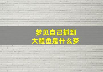 梦见自己抓到大鲤鱼是什么梦