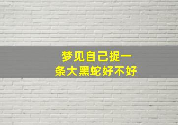 梦见自己捉一条大黑蛇好不好