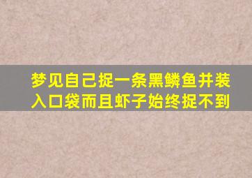 梦见自己捉一条黑鳞鱼并装入口袋而且虾子始终捉不到