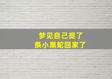 梦见自己捉了条小黑蛇回家了