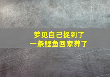 梦见自己捉到了一条鲤鱼回家养了