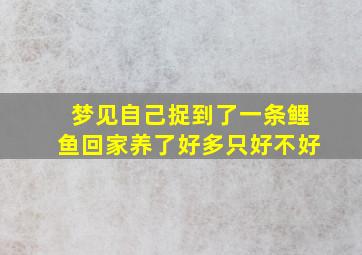 梦见自己捉到了一条鲤鱼回家养了好多只好不好