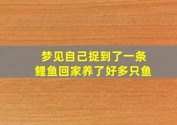 梦见自己捉到了一条鲤鱼回家养了好多只鱼