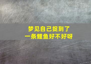 梦见自己捉到了一条鲤鱼好不好呀