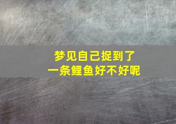 梦见自己捉到了一条鲤鱼好不好呢