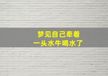 梦见自己牵着一头水牛喝水了