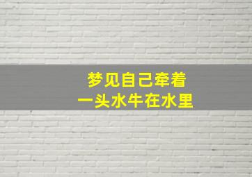 梦见自己牵着一头水牛在水里