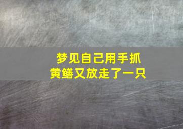 梦见自己用手抓黄鳝又放走了一只