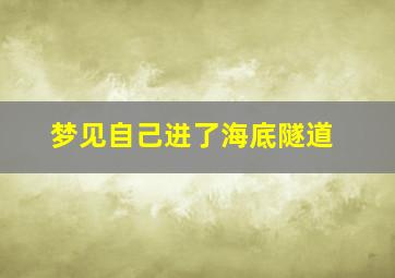 梦见自己进了海底隧道