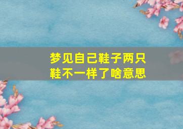 梦见自己鞋子两只鞋不一样了啥意思