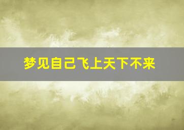 梦见自己飞上天下不来