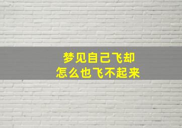 梦见自己飞却怎么也飞不起来