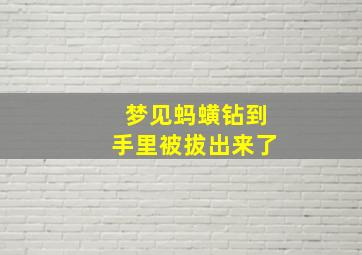 梦见蚂蟥钻到手里被拔出来了