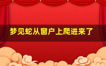 梦见蛇从窗户上爬进来了