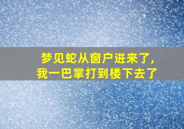 梦见蛇从窗户进来了,我一巴掌打到楼下去了