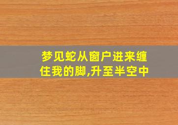 梦见蛇从窗户进来缠住我的脚,升至半空中