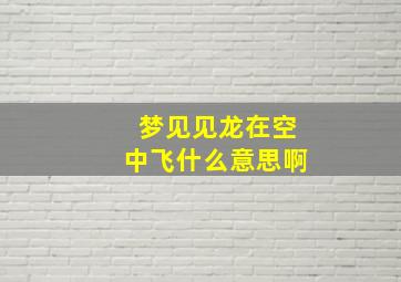 梦见见龙在空中飞什么意思啊