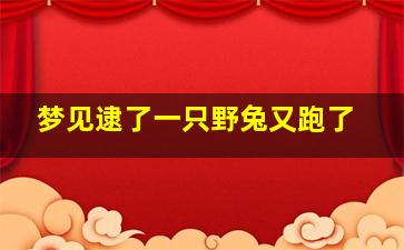 梦见逮了一只野兔又跑了