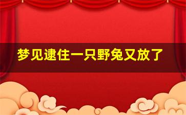 梦见逮住一只野兔又放了