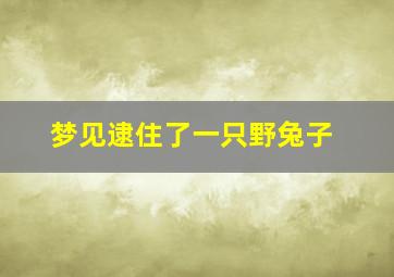 梦见逮住了一只野兔子