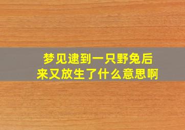 梦见逮到一只野兔后来又放生了什么意思啊