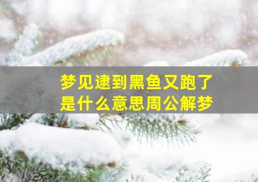 梦见逮到黑鱼又跑了是什么意思周公解梦