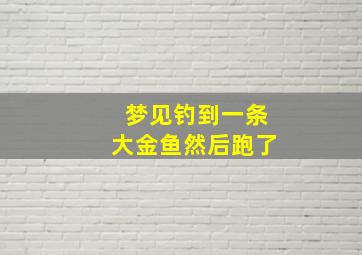 梦见钓到一条大金鱼然后跑了