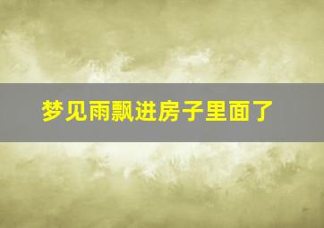 梦见雨飘进房子里面了