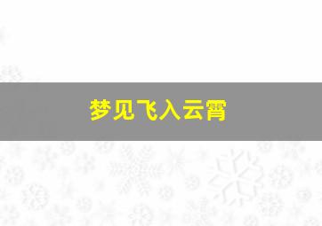 梦见飞入云霄