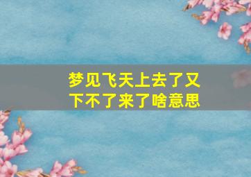 梦见飞天上去了又下不了来了啥意思