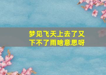 梦见飞天上去了又下不了雨啥意思呀