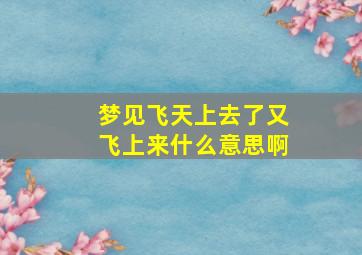 梦见飞天上去了又飞上来什么意思啊