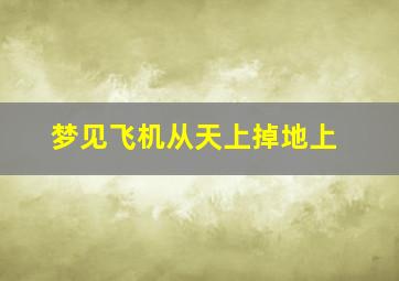 梦见飞机从天上掉地上