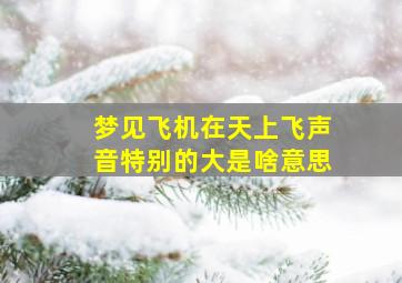 梦见飞机在天上飞声音特别的大是啥意思