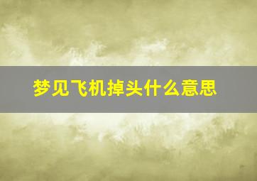 梦见飞机掉头什么意思