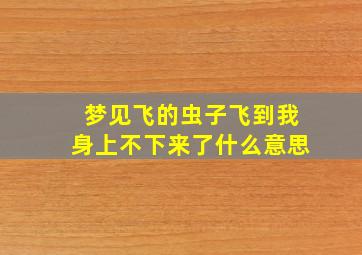 梦见飞的虫子飞到我身上不下来了什么意思