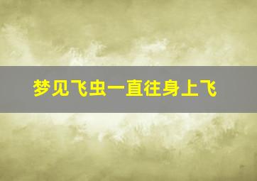 梦见飞虫一直往身上飞