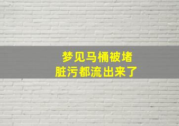 梦见马桶被堵脏污都流出来了