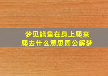 梦见鳝鱼在身上爬来爬去什么意思周公解梦