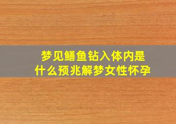 梦见鳝鱼钻入体内是什么预兆解梦女性怀孕