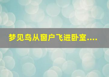 梦见鸟从窗户飞进卧室....