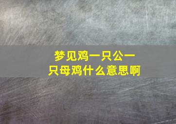 梦见鸡一只公一只母鸡什么意思啊