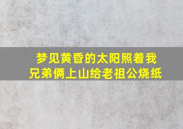 梦见黄昏的太阳照着我兄弟俩上山给老祖公烧纸