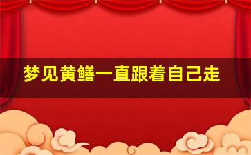 梦见黄鳝一直跟着自己走