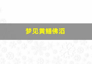 梦见黄鳝佛滔