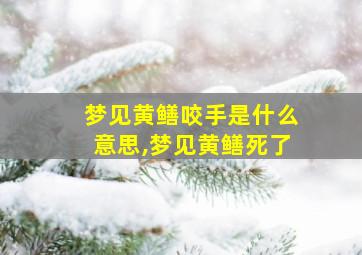 梦见黄鳝咬手是什么意思,梦见黄鳝死了