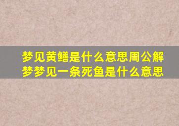 梦见黄鳝是什么意思周公解梦梦见一条死鱼是什么意思