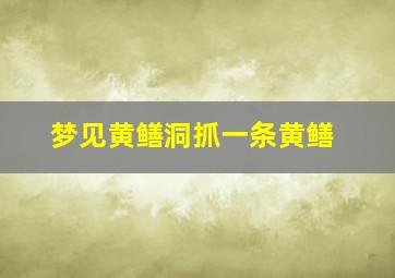 梦见黄鳝洞抓一条黄鳝