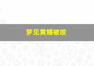 梦见黄鳝被咬